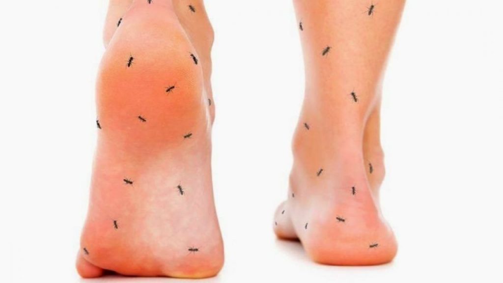 Pantangan Makanan Penderita Kesemutan