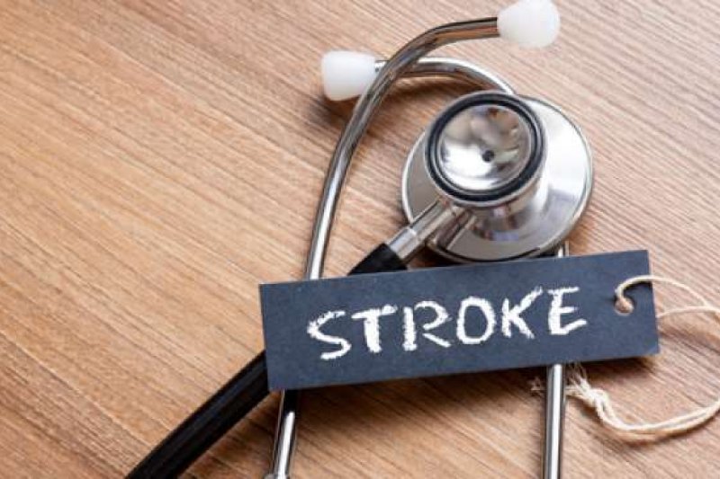 6 Cara Mengobati Stroke Pemecahan dengan Kapsul Cacing Tanah Agar Lebih Efektif