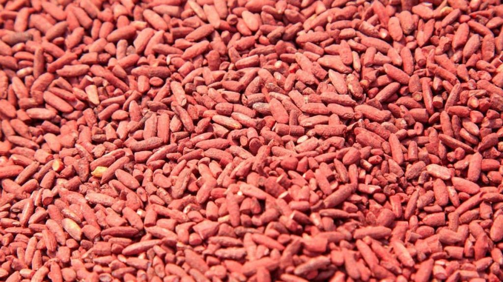 Jual Angkak Merah di Tangerang