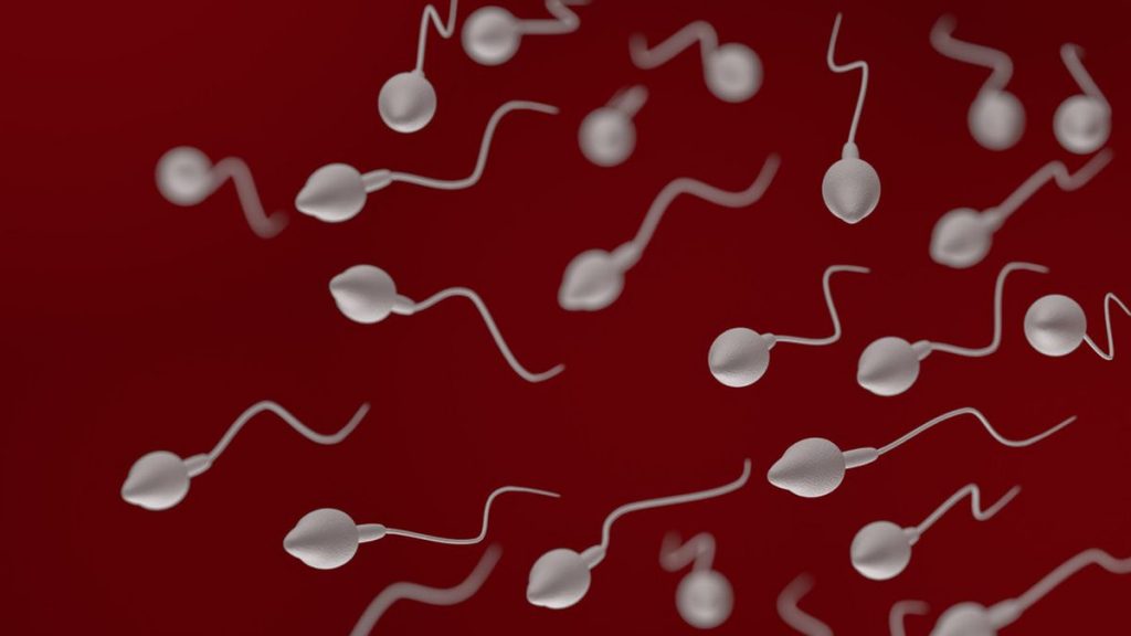 Akupuntur untuk Perbaikan Mutu Sperma Apakah Bisa