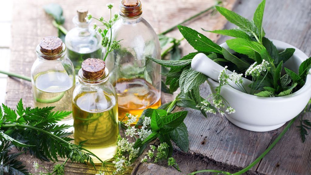 Sistem Terapi Herbal Bersama Sinse