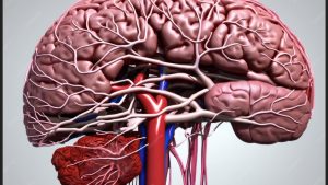 Manfaat Angkung Niu Huang Wan Original Investasi Kesehatan Otak yang Tak Ternilai